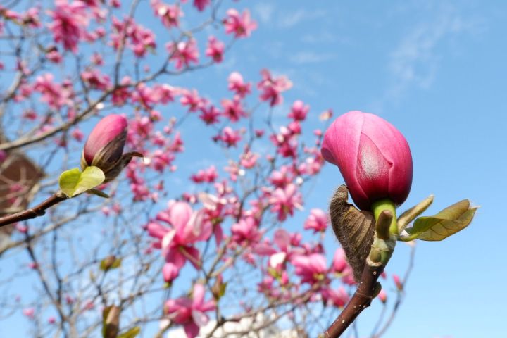 Six Ways to Cultivate Community While Travelling