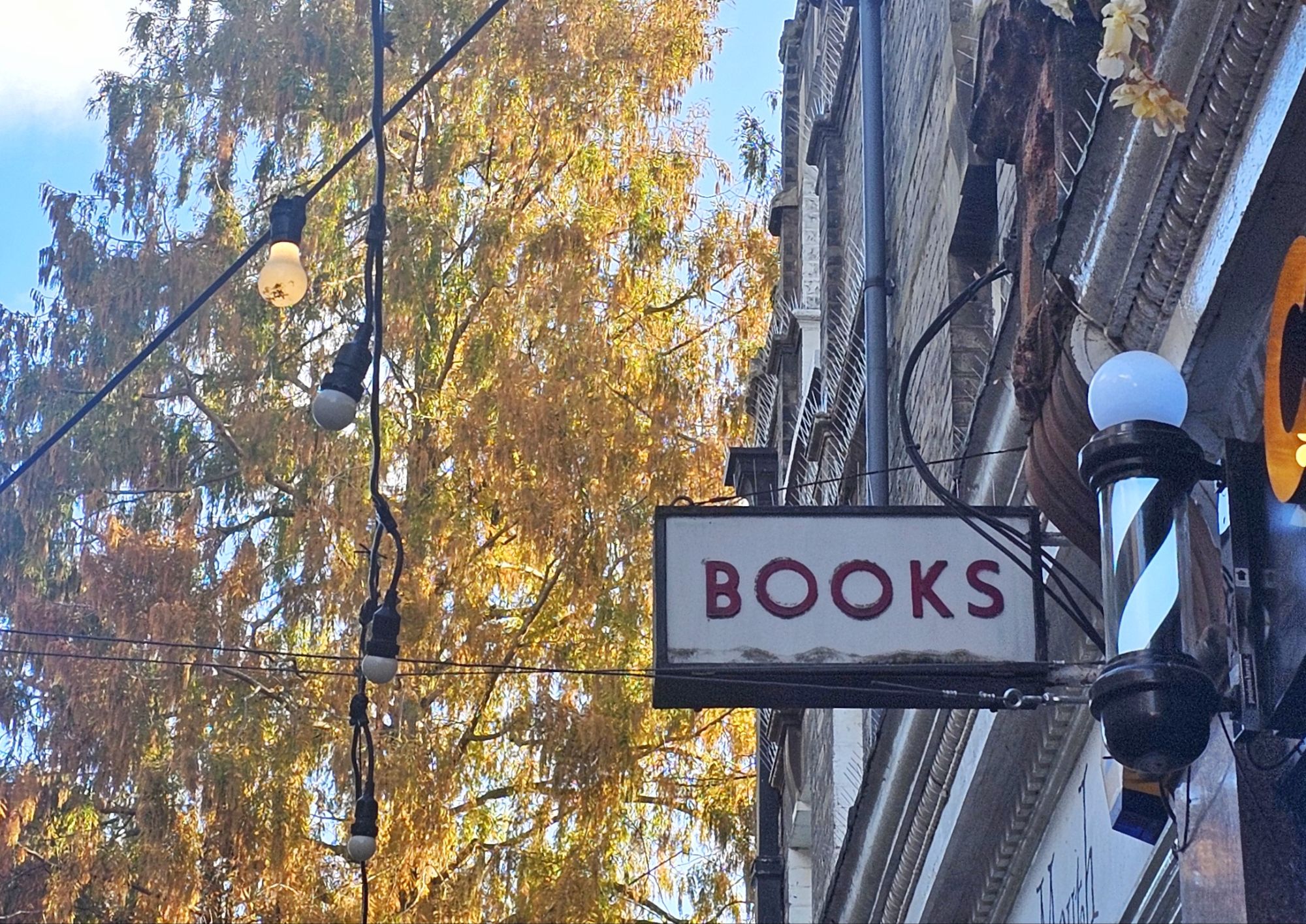 What Happens to Childhood Readers? They Grow Up & Travel